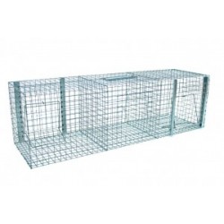 cage pieges pies/ pigeons