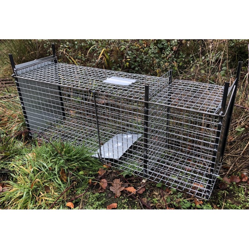 Cage piège pour capture : rat, chat, fouine, renard